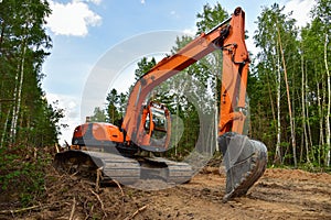 Excavator clearing forest for new development. Orange Backhoe modified for forestry work. Tracked heavy power machinery for forest