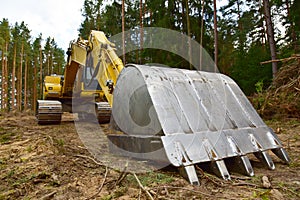 Excavator clearing forest for new development and road work. Backhoe for forestry work. Tracked heavy power machinery for forest