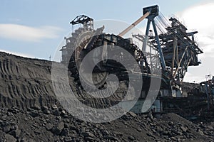 The excavator at the coal face