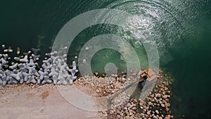 An excavator diligently constructs a dock or breakwater in the sea, its mighty arm reaching out from the shore, creating