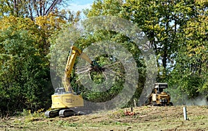 Excavator and Forestry Mulcher Clearing Land