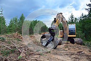 Excavator Grapple during clearing forest for new development. Tracked Backhoe with forest clamp for forestry work. Tracked timber