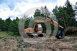 Excavator Grapple during clearing forest for new development. Tracked Backhoe with forest clamp for forestry work. Tracked timber