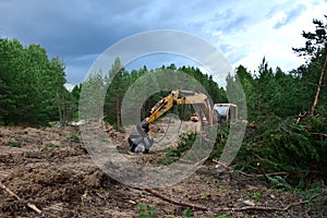 Excavator Grapple during clearing forest for new development. Tracked Backhoe with forest clamp for forestry work. Tracked timber