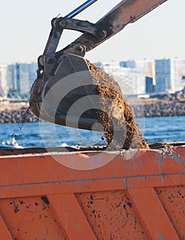 Excavator unloading sand into the dump truck on the construction site, excavating and working during road works, backhoe and
