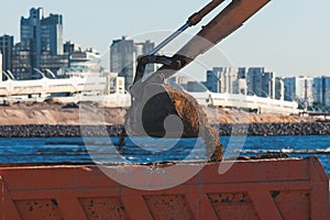 Excavator unloading sand into the dump truck on the construction site, excavating and working during road works, backhoe and