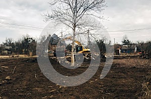 Excavator uprooting trees on land in countryside. Bulldozer clearing land from old trees, roots and branches with dirt and trash.