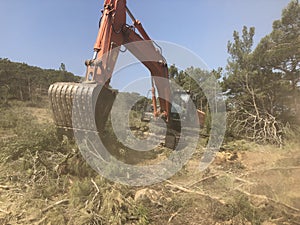 Excavator uproots stumps of cutted trees in the coniferous highland forest