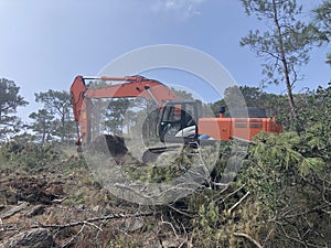 Excavator uproots stumps of cutted trees in the coniferous highland forest