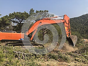 Excavator uproots stumps of cutted trees in the coniferous highland forest