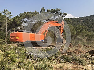 Excavator uproots stumps of cutted trees in the coniferous highland forest