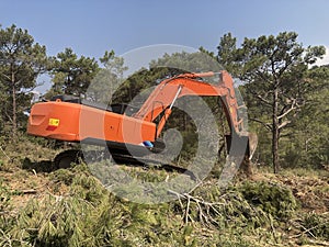 Excavator uproots stumps of cutted trees in the coniferous highland forest