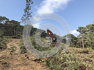 Excavator uproots stumps of cutted trees in the coniferous highland forest