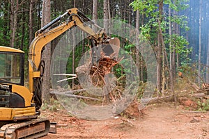 Excavators, tractors are uprooting trees to prepare land for construction of a residential complex