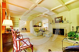 Excellent living room with decorative rug, furniture and a fireplace.