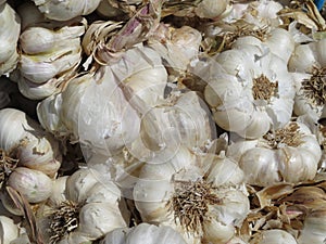 Excellent natural garlic tasty aromatic fat spices cooking photo