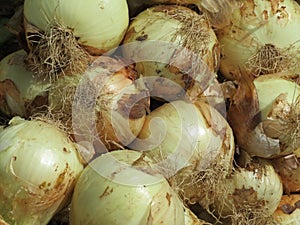 Excellent natural onions tasty aromatic fat cooking spices photo