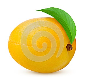 Excellent retouched yellow ripe apricot with leaf isolated on white background. Premium quality and full depth of field