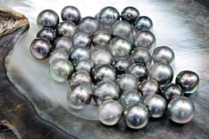 Excellent Round Tahitian Black Pearls photo