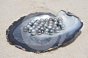 Excellent Round Tahitian Black Pearls photo