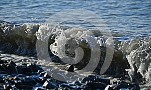 excellent shapes of a breaking sea wave