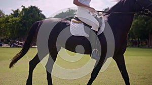 Excellent video young lady riding a bay horse on bright sunny day, girl enjoying gentle pace