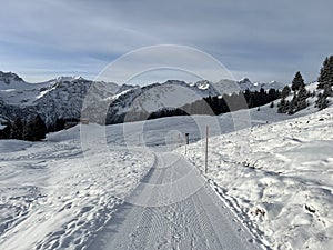 Excellently arranged and cleaned winter trails for walking, hiking, sports and recreation in the area of the resort Arosa