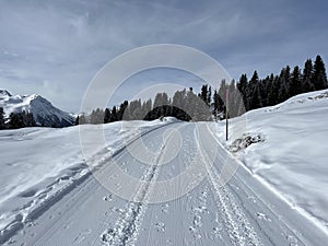 Excellently arranged and cleaned winter trails for walking, hiking, sports and recreation in the area of the resort Arosa