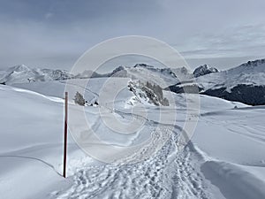 Excellently arranged and cleaned winter trails for walking, hiking, sports and recreation in the area of the resort of Arosa