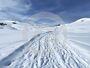 Excellently arranged and cleaned winter trails for walking, hiking, sports and recreation in the area of the resort of Arosa