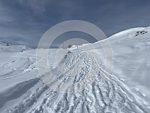 Excellently arranged and cleaned winter trails for walking, hiking, sports and recreation in the area of the resort of Arosa