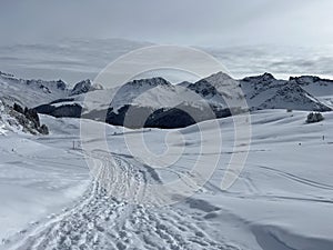 Excellently arranged and cleaned winter trails for walking, hiking, sports and recreation in the area of the resort of Arosa