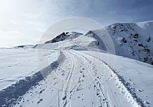 Excellently arranged and cleaned winter trails for walking, hiking, sports and recreation in the area of the resort of Arosa