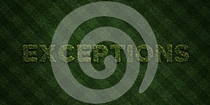 EXCEPTIONS - fresh Grass letters with flowers and dandelions - 3D rendered royalty free stock image photo