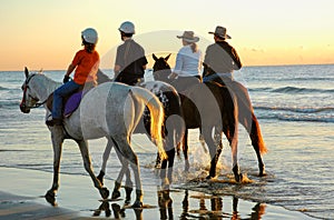 Excercising horses at daybreak along the beach