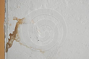 Excessive moisture can cause mold and peeling paint wall.
