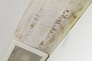 Excessive moisture can cause mold and peeling paint wall , such as rainwater leaks .