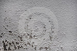 Excessive moisture can cause mold and peeling paint wall such as rainwater leaks or water leaks.