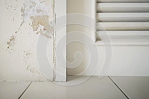 Excessive moisture can cause mold and peeling paint wall such as rainwater leaks or water leaks