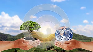 Exchange of planets in the hands of humans with young plants in the hands of humans, concept of Earth Day.