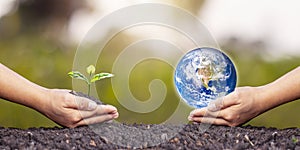 Exchange of planets in human hands and saplings in human hands-on soil concept and environmental conservation.