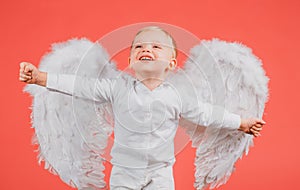 Excited angel little boy with white wings. Happy angelic children boy laughing. Cute kid with white wings. Adorable