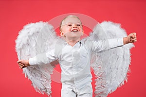 Excited angel little boy with white wings. Happy angelic children boy laughing. Cute kid with white wings. Adorable