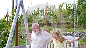 Excited boy kid and grandad happy shout swinging together in backyard, amusement