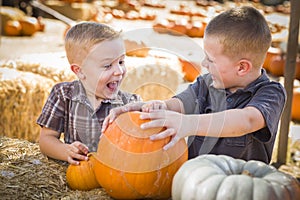Excited Boys at the Pumpkin Patch Talking and Having Fun