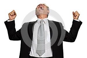Excited businessman celebrating success on white background.