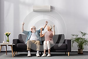 Excited elderly couple showing yeah gesture