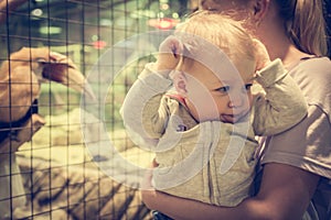 Excited funny baby with mother make faces in zoo