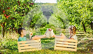 Excited funny little siblings playing playing around in garten, sitting in crates, eating apples and holding one apple