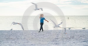 Excited kid running on beach. Child and seagull on the beach. Amazed boy running on the beach with his hands raised up